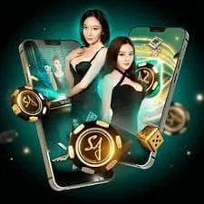 bonos77 Cashback semanal